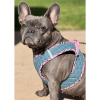 Step-In Denim Dog Harness - Pink Plaid